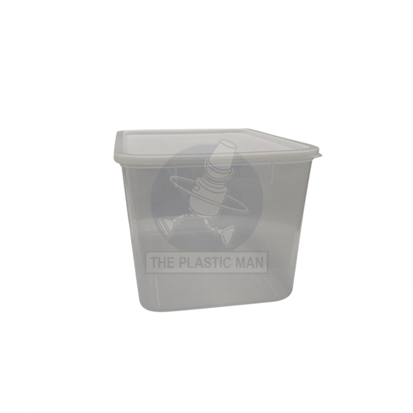Container Rectangle 9L - Crec9 Storage Boxes & Crates