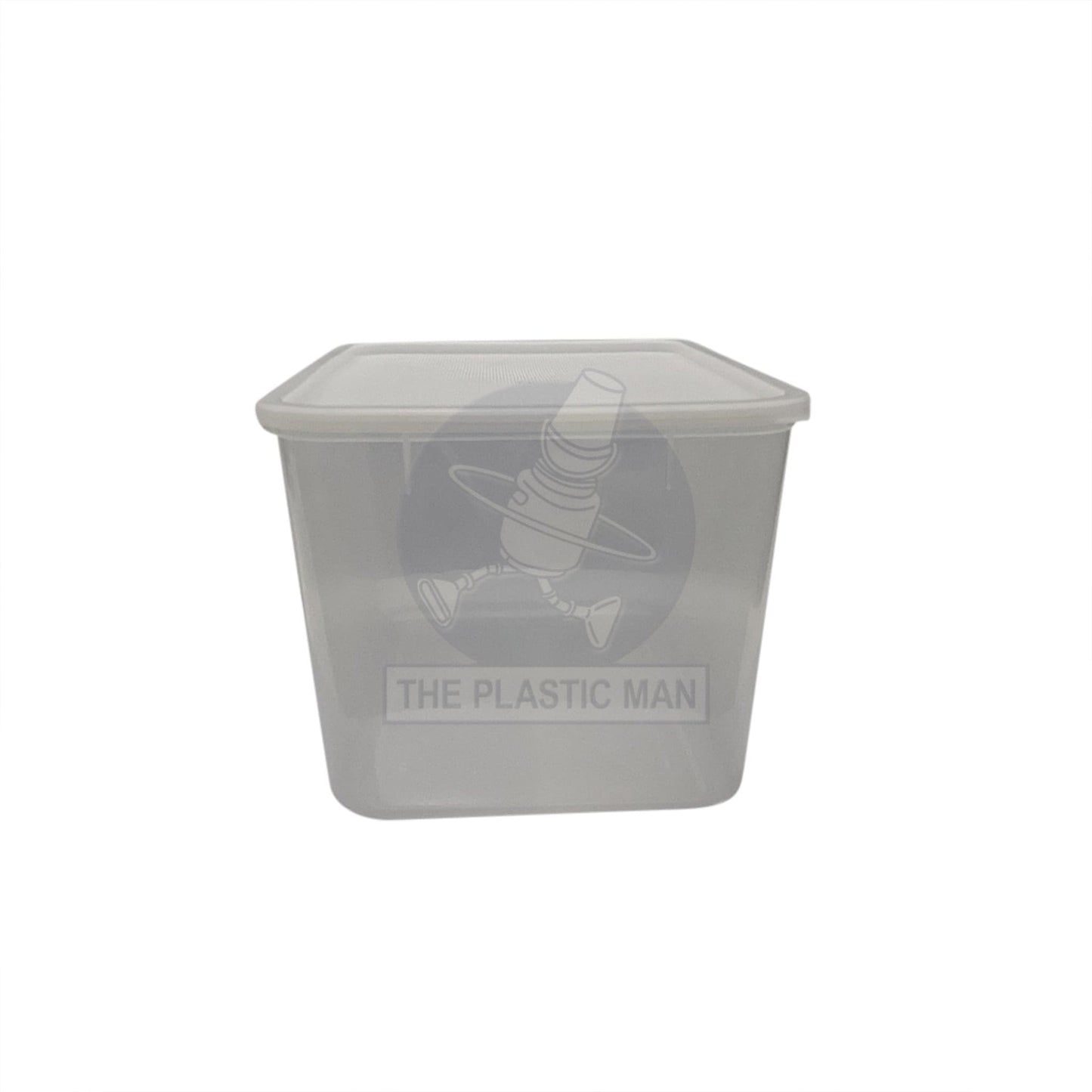 Container Rectangle 9L - Crec9 Storage Boxes & Crates