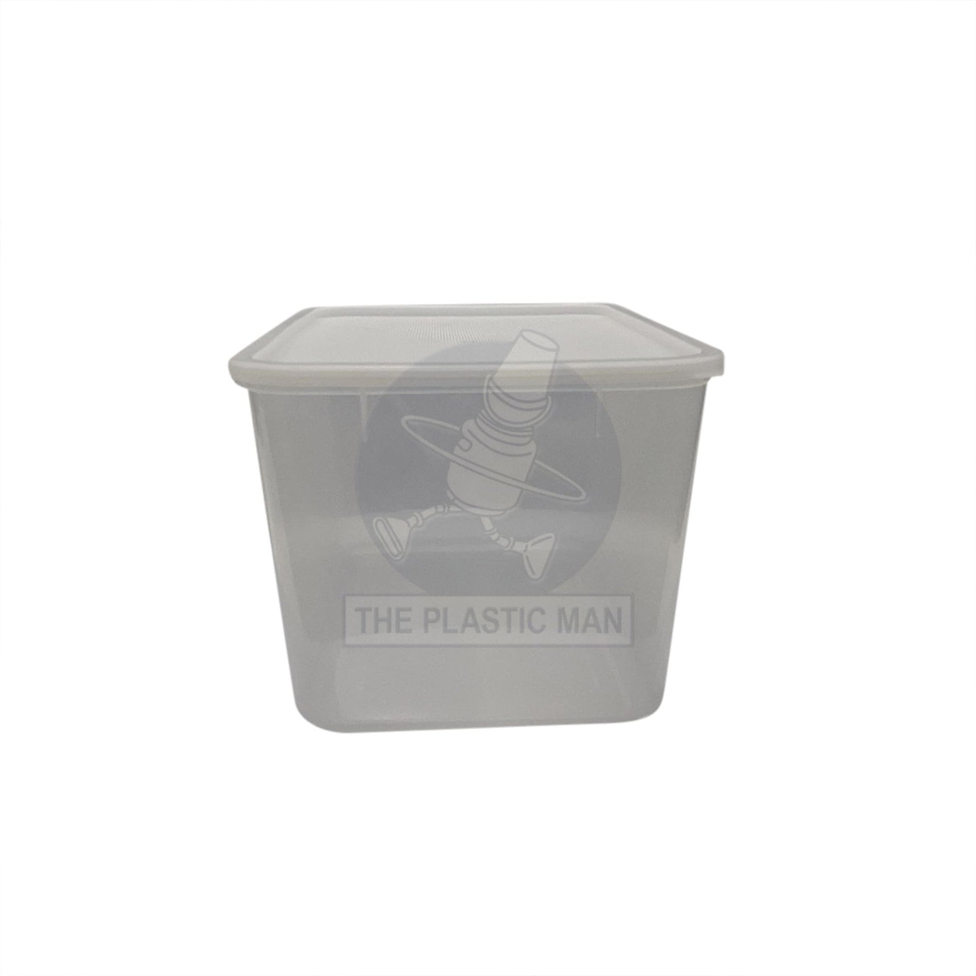 Container Rectangle 9L - Crec9 Storage Boxes & Crates