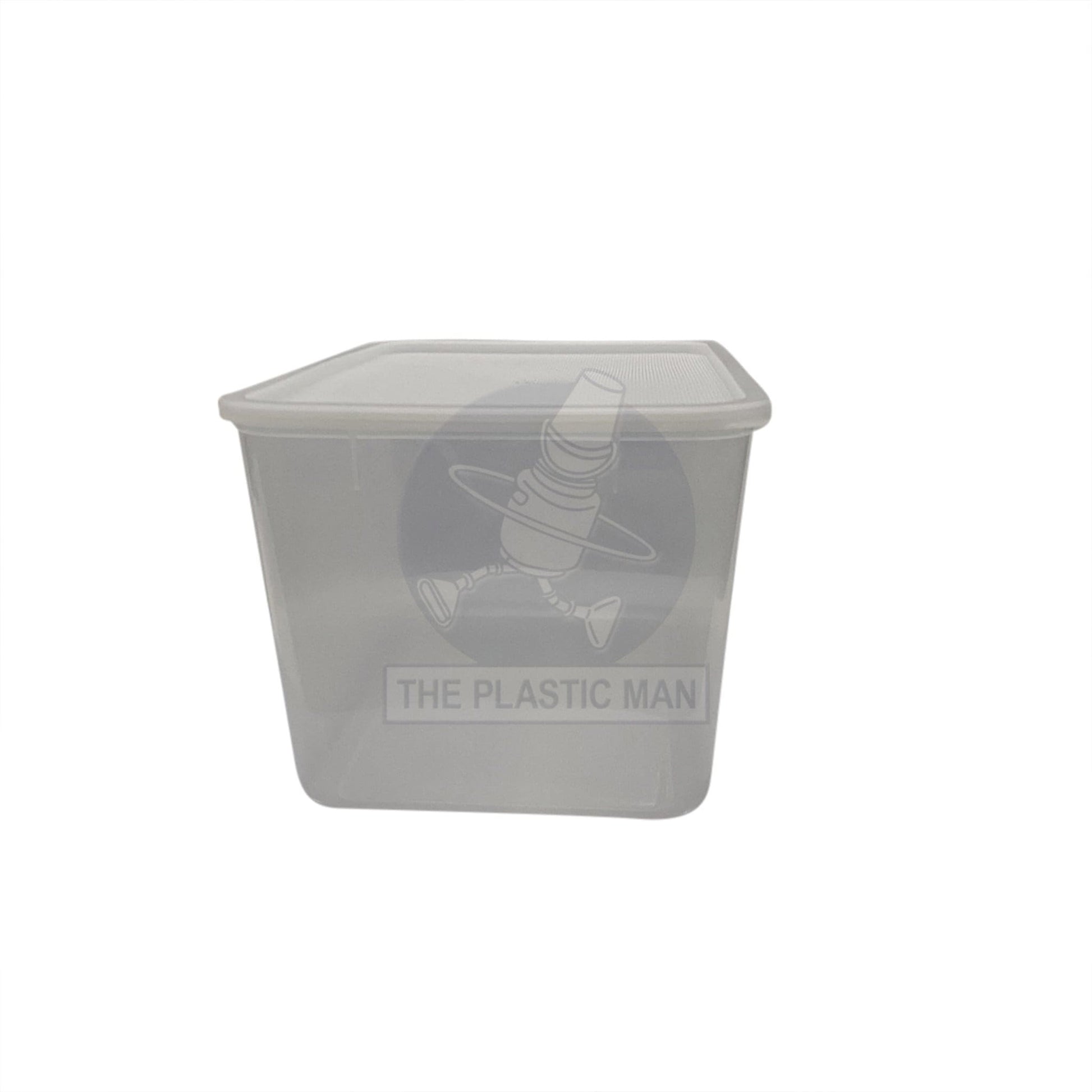 Container Rectangle 9L - Crec9 Storage Boxes & Crates