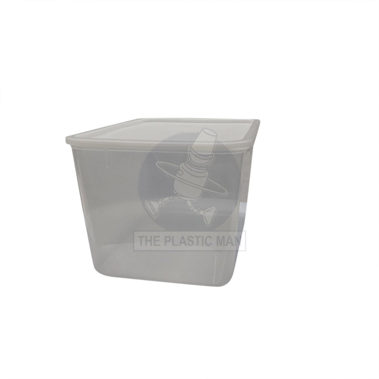 Container Rectangle 9L - Crec9 Storage Boxes & Crates