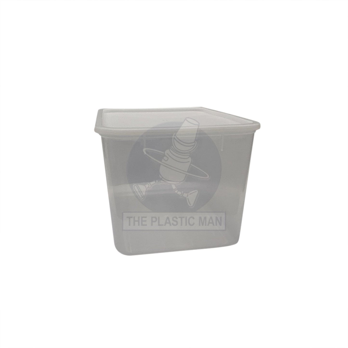 Container Rectangle 9L - Crec9 Storage Boxes & Crates