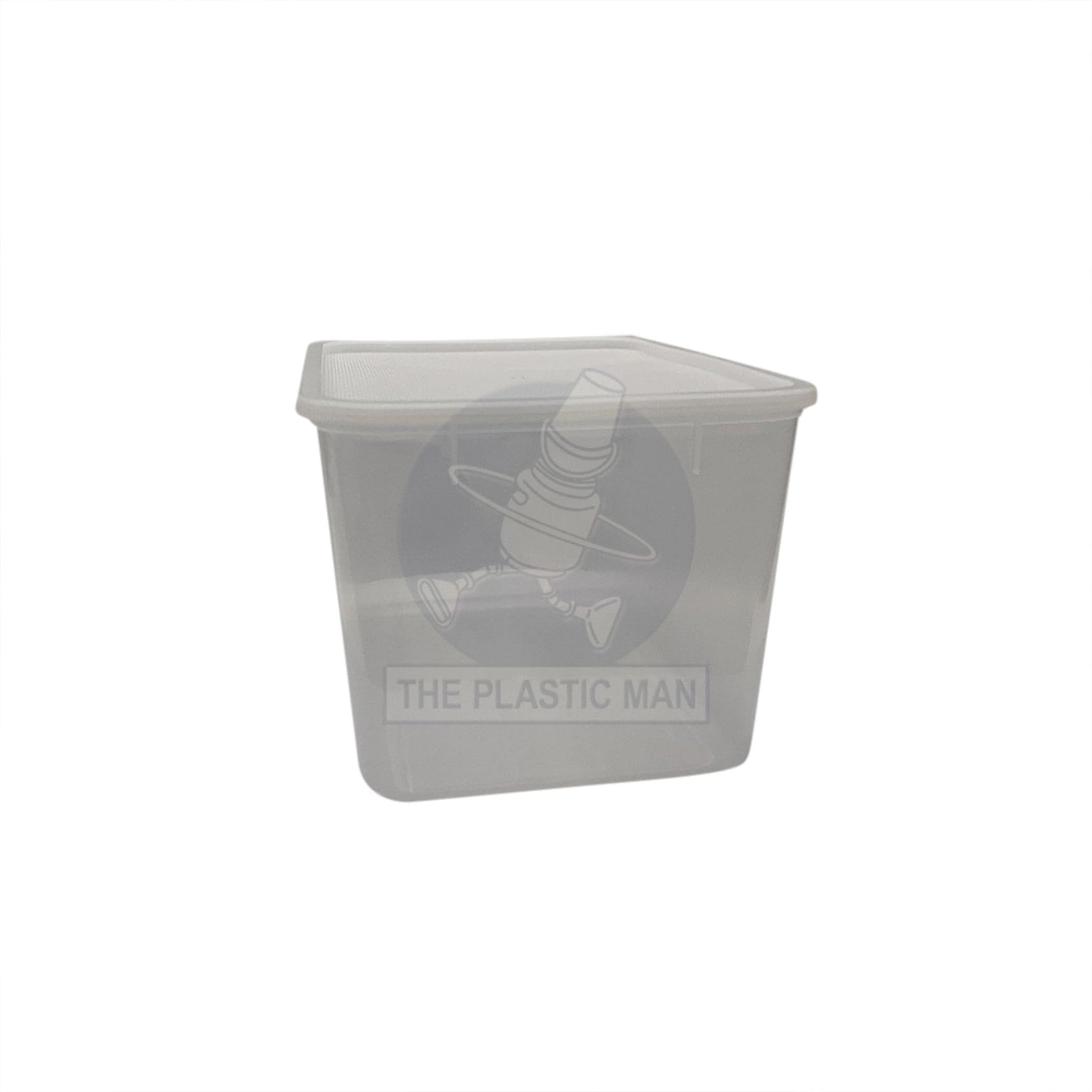 Container Rectangle 9L - Crec9 Storage Boxes & Crates