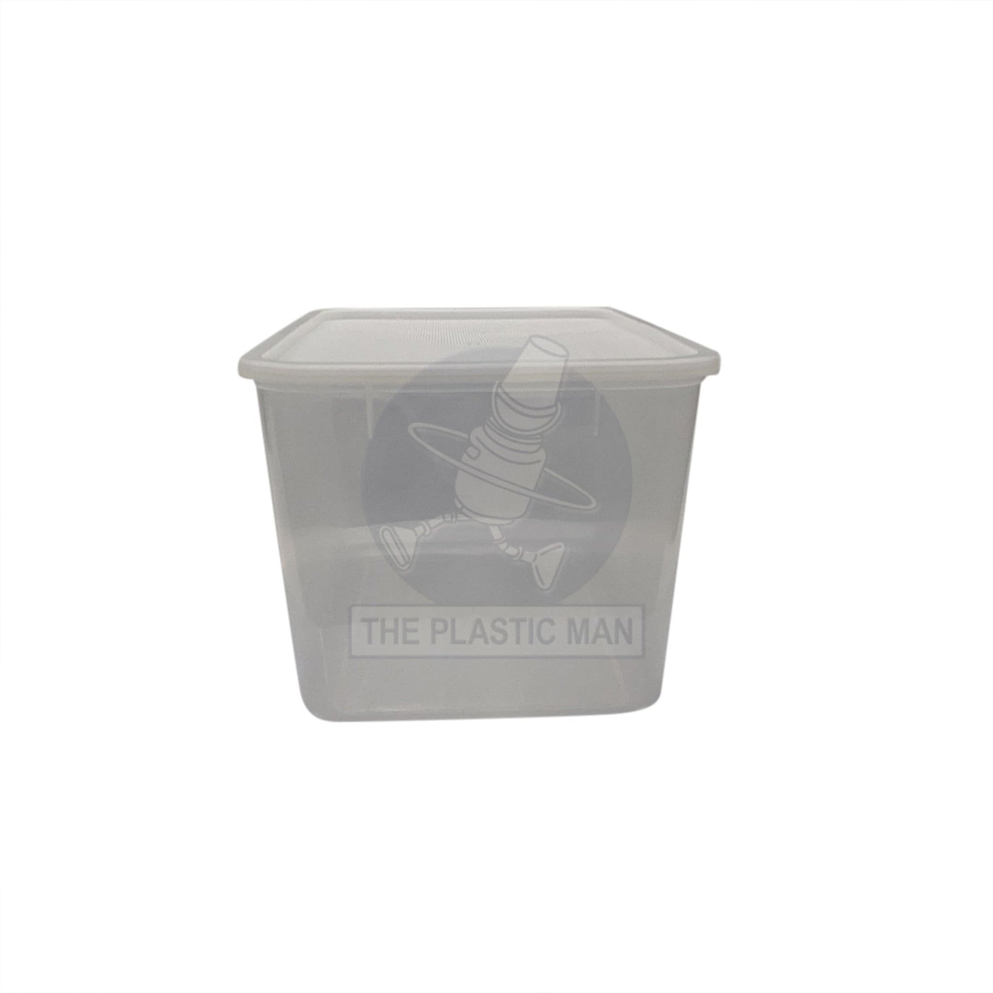 Container Rectangle 9L - Crec9 Storage Boxes & Crates