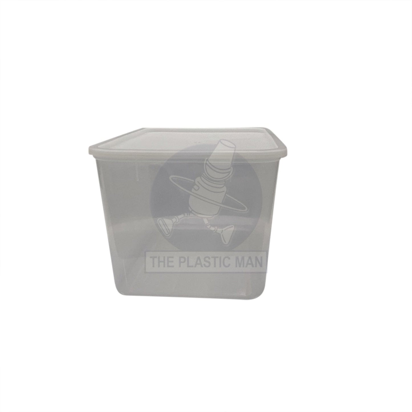 Container Rectangle 9L - Crec9 Storage Boxes & Crates