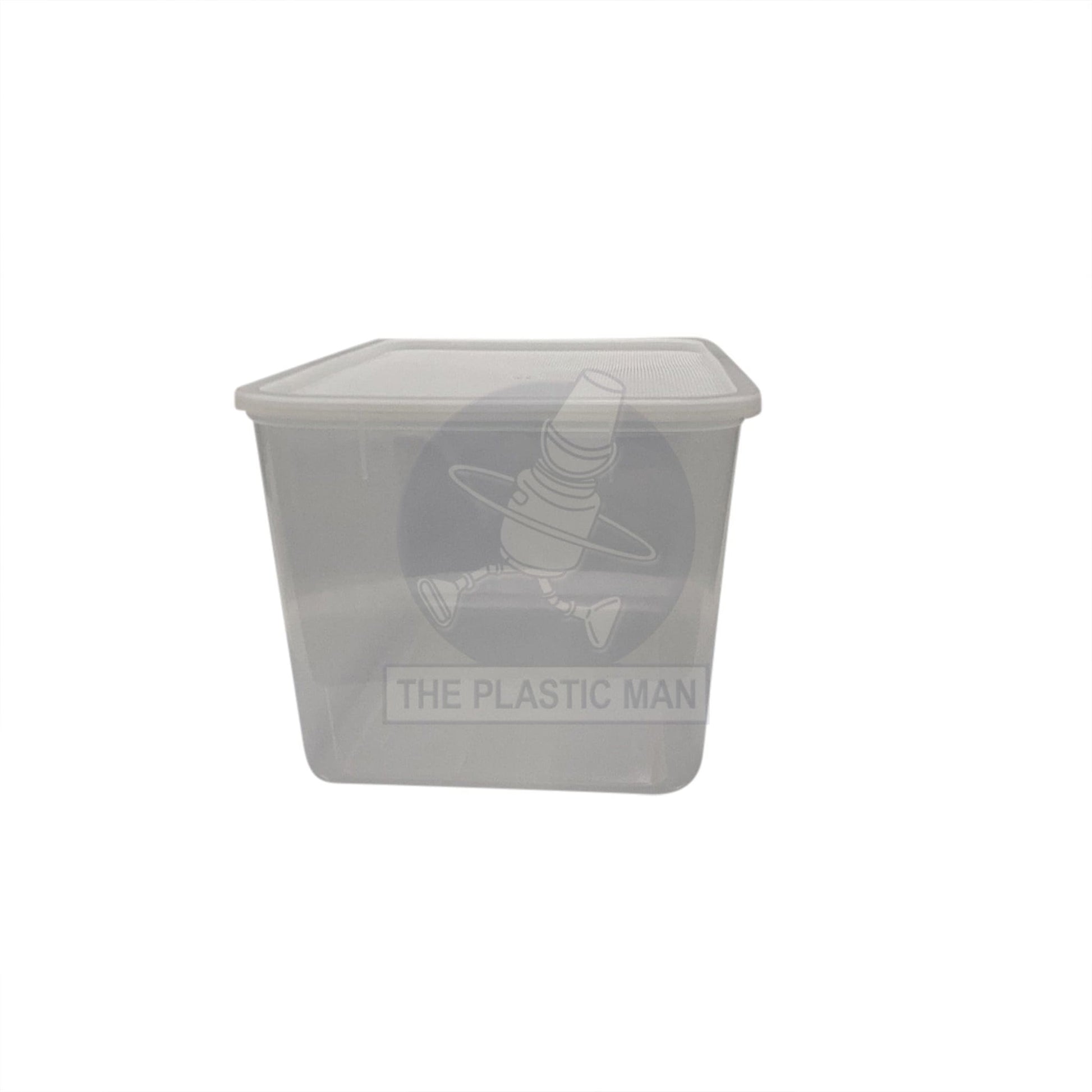 Container Rectangle 9L - Crec9 Storage Boxes & Crates