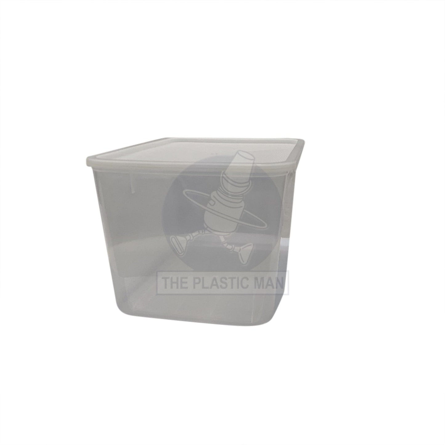 Container Rectangle 9L - Crec9 Storage Boxes & Crates
