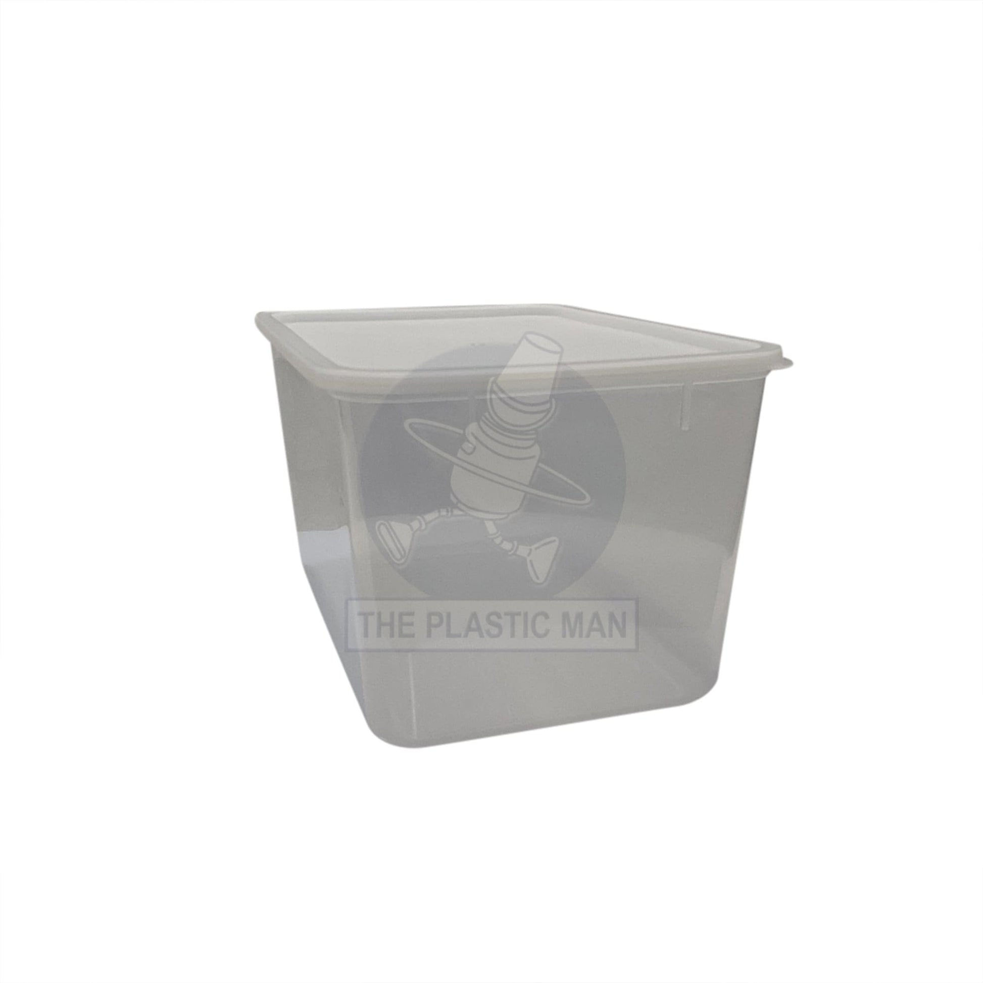 Container Rectangle 9L - Crec9 Storage Boxes & Crates
